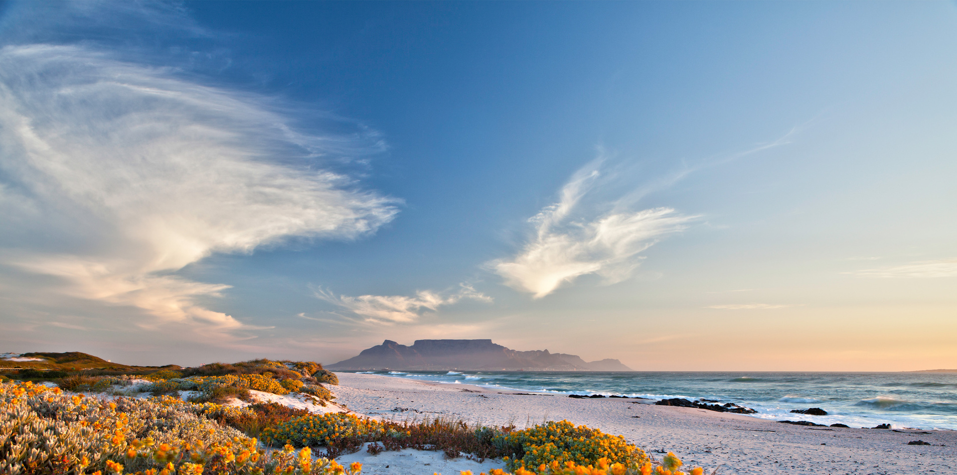 Ladies Only South Africa