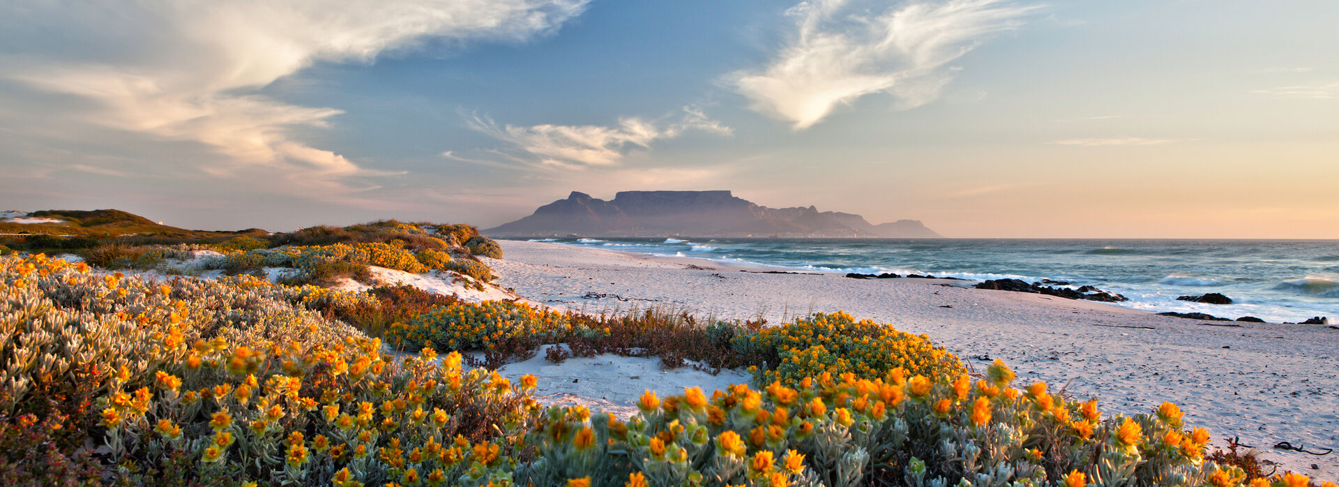 ASH GettyImages 6773995800